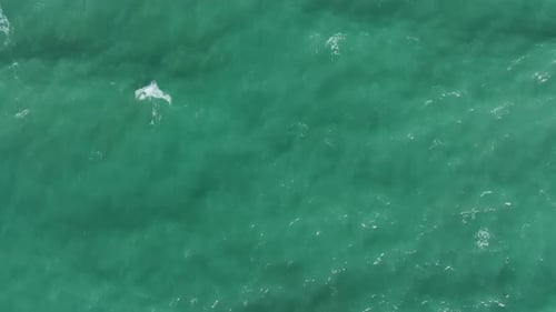 Aerial Video Scenic Stormy Ocean with Stunning Foam Patterns and Big Waves Transforming the
