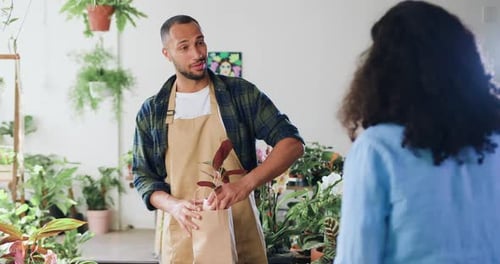 Male florist, seller collects green plants to female customer and talking with her. African american