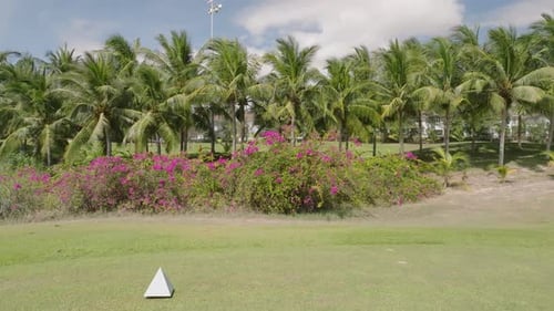 Golf Course Splendor