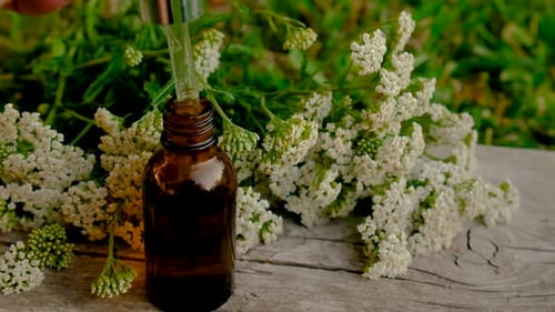 Herbal Essence: Dropper Bottle of Natural Extract