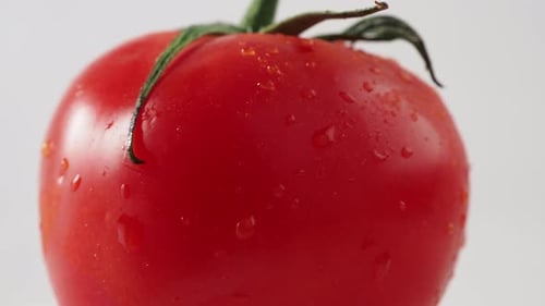 Rotation roter Tomaten auf weißem Hintergrund. Rotation reifer Tomaten.