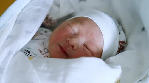 Precious Newborn Baby Swaddled in Blanket