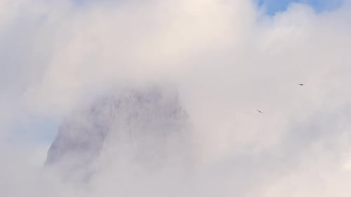 Andean Condors flying over mount Fitz Roy