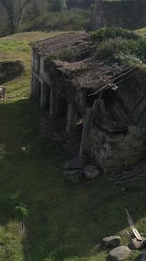 Fly above abandoned houses vertical video