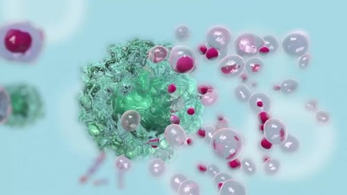 Microscopic Cells Interacting and Attacking Animation