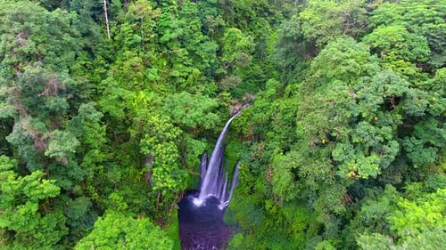 Lush Tropical Waterfall Aerial View