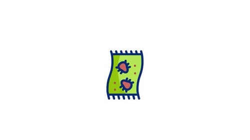 Carpet Animated Icon