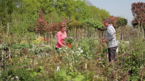Mature male handing over plant in pot to female in garden centre