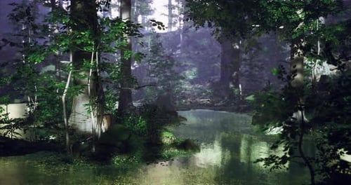 Serene Forest Landscape with Tranquil Water Amidst Lush Greenery in Daytime