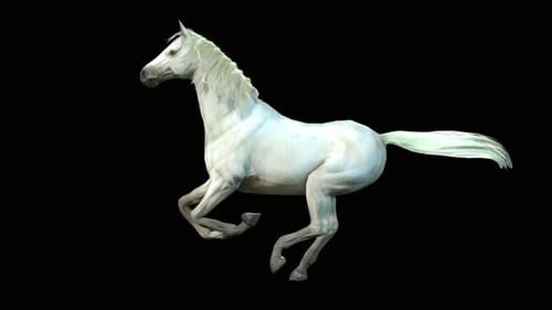 Realistic 3D White Horse Galloping on Alpha Channel