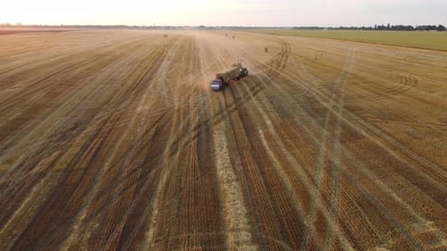 Gathering Stacks of Straw in Wheat Harvest Field Loading on Truck Transporting