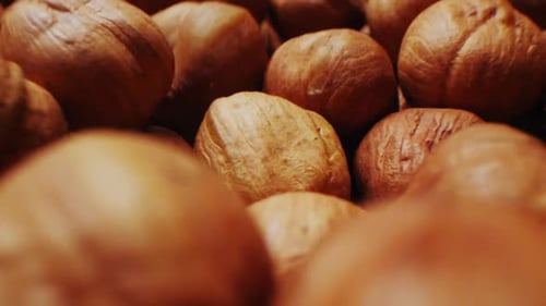 Köstliche Haselnüsse auf Haufen im Behälter Makro gießen