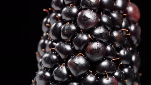 A macro view of a blackberry rotating on a black background, with its tiny hairs visible.