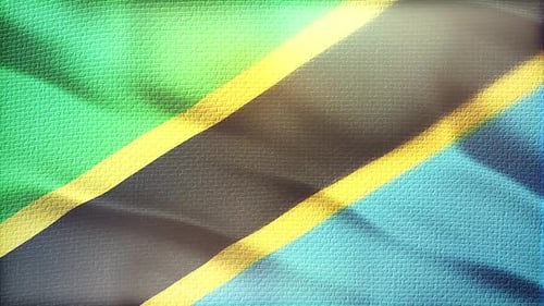 Realistic Waving Tanzania Flag Background with Fabric Texture