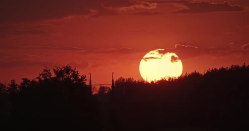 Goldener Sonnenuntergang über Bäumen und