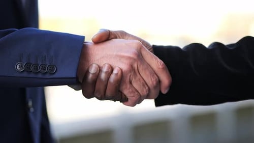African and White Partners Seal Business Deal with Handshake close up