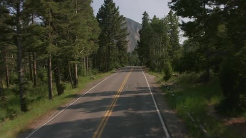 Yellowstone Road Trip Summer