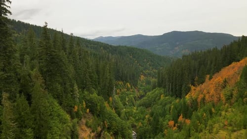 4K Aerial Drone flyover of mountain forest valley in autumn