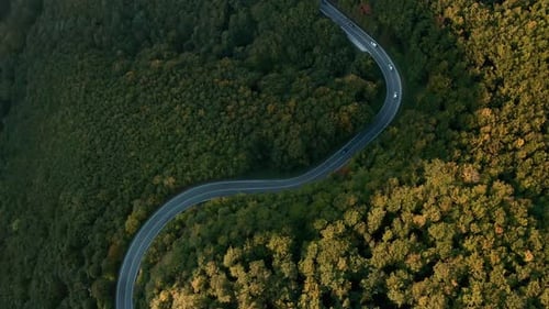 Aerial tilt up view drone shot of cars driving on a winding mountain road in the middle of an autumn
