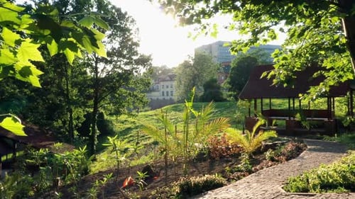 Landscape of Botanical Summer Garden with Sunlight