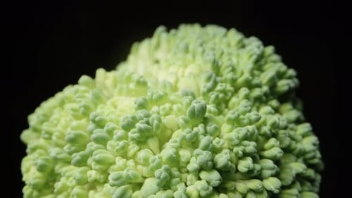 Broccoli Extreme Macro, zoom. Tombe lentement et s'éloigne. Fond noir isolé. Rotation.