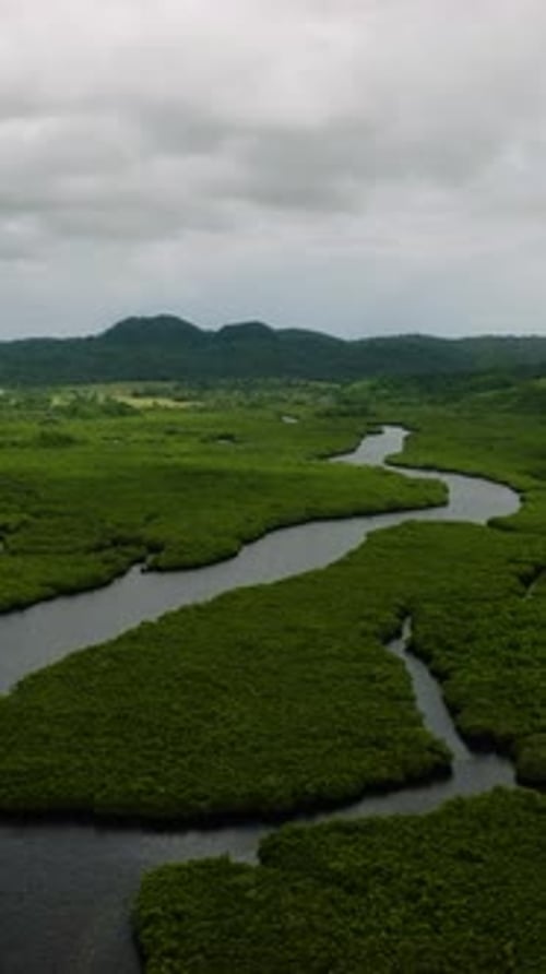River Bends Through Green Mangrove Landscape Siargao Philippines