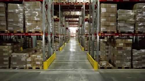 Cardboard Plant Warehouse with Finished Products on Shelves