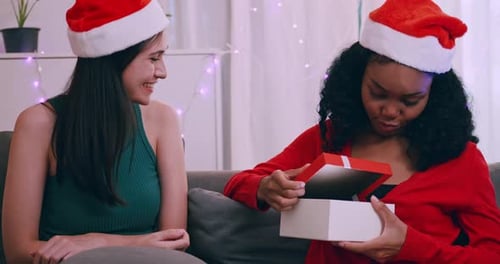 Happy Women Exchange Christmas Gift at Home