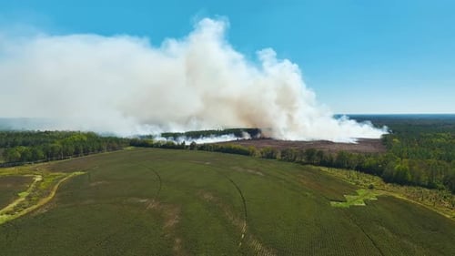 View From Above of Dense Smoke From Woodland and Field on Fire Rising Up Polluting Air Concept of