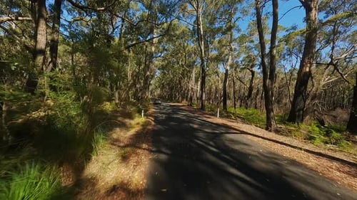 La voiture roule sur une route forestière Vidéo prise par le Drone