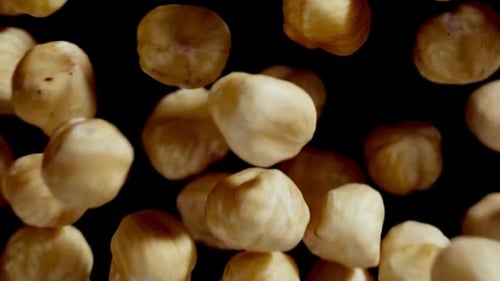 Slow Motion Hazelnuts Falling and Bouncing on Black Background