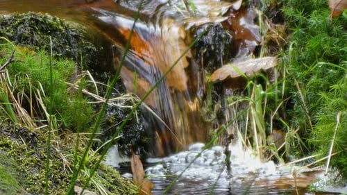 Ruhiger Herbst-Winter-Wald, ein schlängelnder Bach schlängelt sich über Felsen und formt kleine Wasserfälle. U-Boote