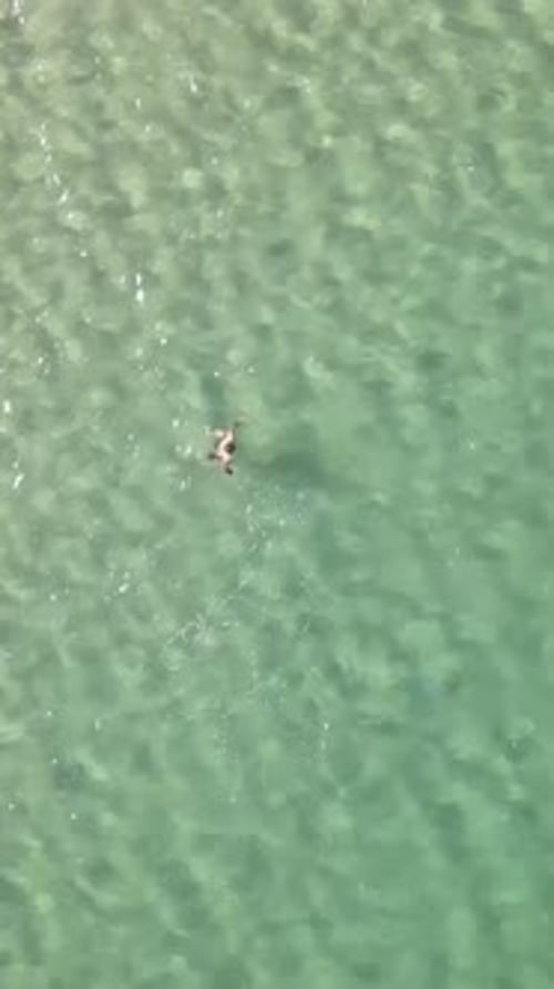 Swimming Sea Aerial View