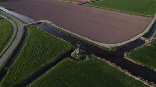 Aerial view of colorful tulip fields and windmills, Workum, Netherlands.