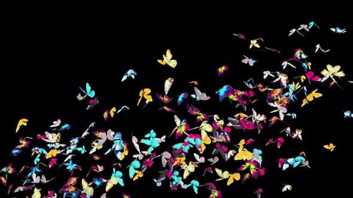 Animated Swarm of Vibrant Butterflies Flying