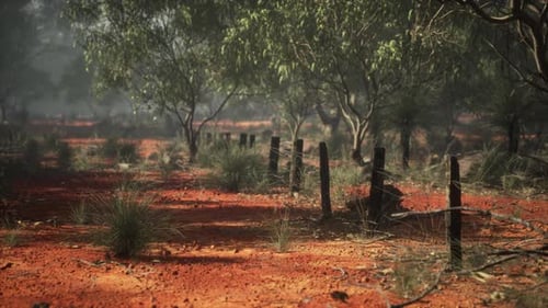 Misty Australian Outback Landscape with Old Barbed Wire Fence