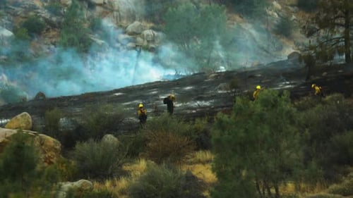 Firefighting ground crew tackling California bush fire blaze in Kern River