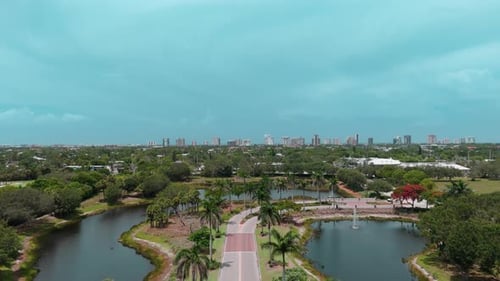 Wide Drone Footage of Flying Above Road Lined with Tall Palm Trees
