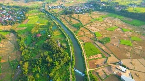 Aerial drone footage of rice field and farmer village