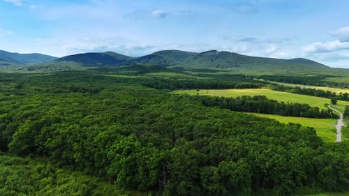 Approaching lush green woods surrounding the meadows. Verdant mountain range at backdrop.