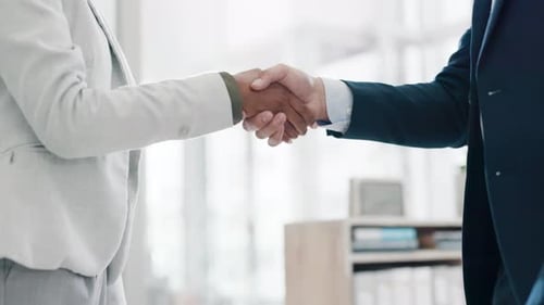 Shaking hands at meeting, business people in office and welcome, agreement and introduction