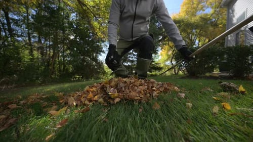 Person Gathering Fallen Autumn Leaves Into a Pile in a Backyard Hands Scooping Colorful Leaves Off