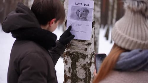 Announcement About Lost Dog on Tree with Teen Friends Calling Number Standing on Winter Day Outdoors