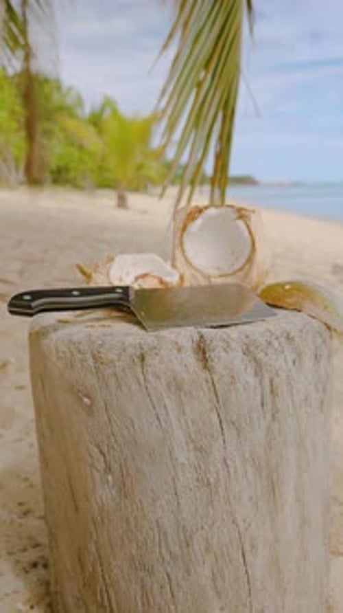 Vertical video. Closeup of Fresh Coconut Split in Half with Knife on Wooden Log Against Sandy Beach