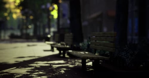 Park Benches Invite Quiet Moments in a Serene Urban Setting During Sunset