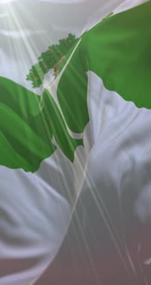 Vertical Waving Flag with Sun Rays