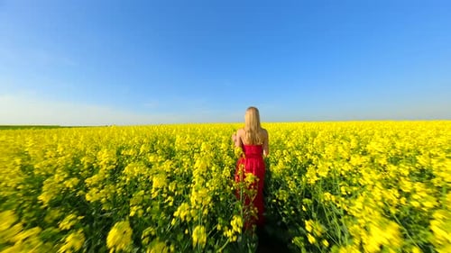 Caucasian Woman Walking Through Scenic Yellow Rapeseed Field in Slow Motion