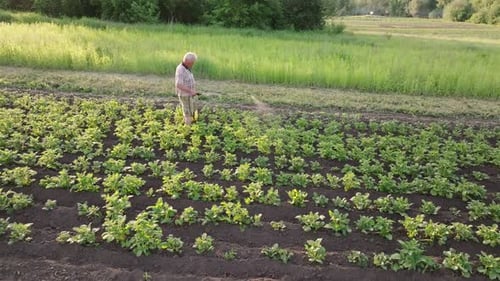 Farmer spraying pesticide sprayer garden farm vegetable garden spraying crop protection plant field