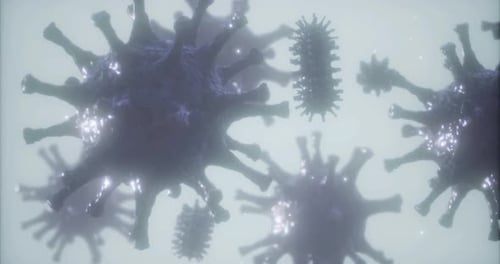 Intricate Details of Microscopic Entities Suspended in Translucent Medium