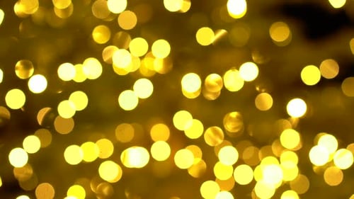 Christmas lights hanging up hd